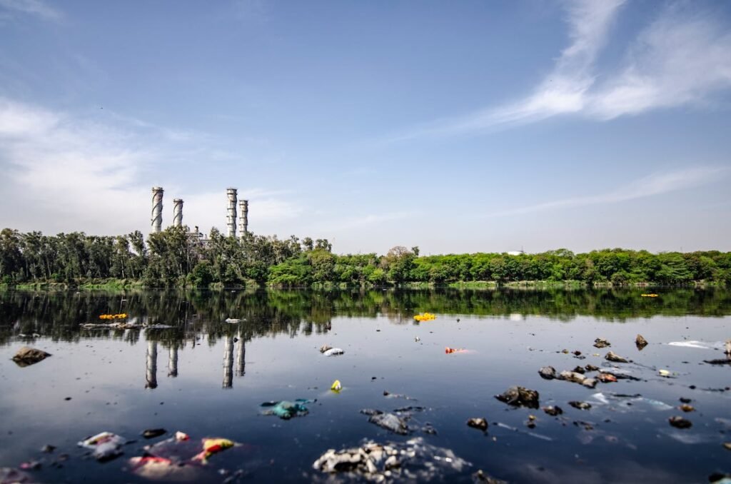 Garbage on Body of Water, Water Body Restoration